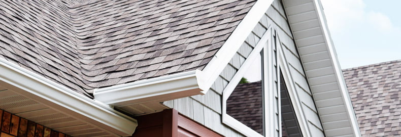 Gutters_LandingPage_790x271 seamless gutters on home