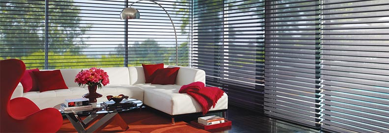 horizontal Hunter Douglas blinds in living room