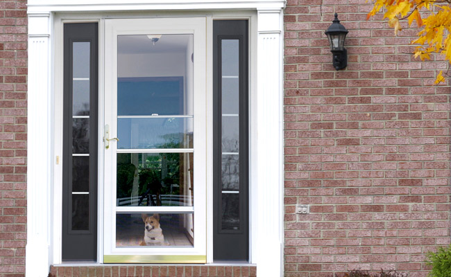 ProVia Spectrum Storm Door