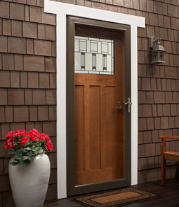 Renewal by Andersen entry storm door with dark frame on a home with dark brown siding