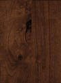 Cinnamon Cinnamon