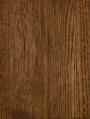 Chestnut Chestnut