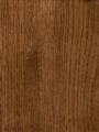 Umber Umber