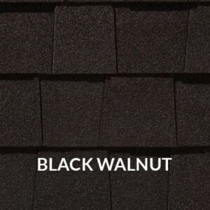 Landmark sample of Black Walnut color