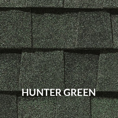 Landmark sample of Hunter Green color