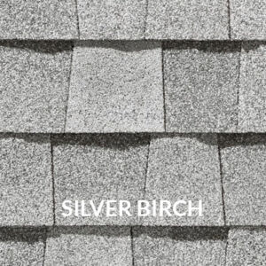 NorthGate sample of Silver Birch color