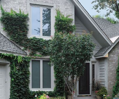 two home exterior casement windows pair with house style