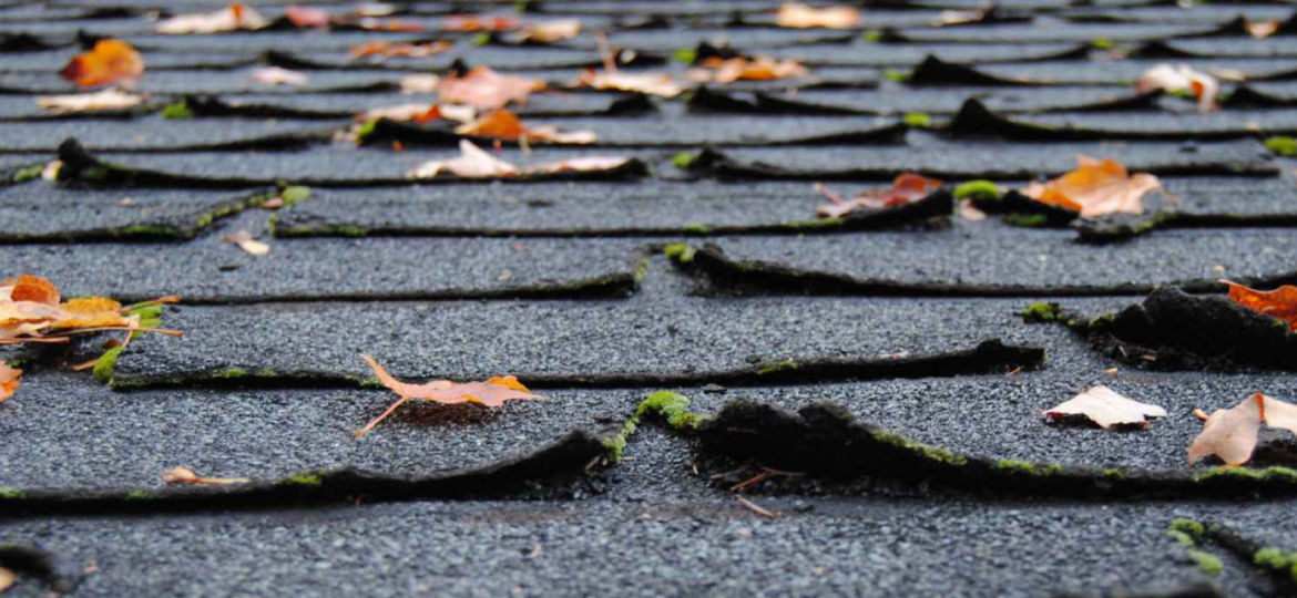 Curled shingles on roof