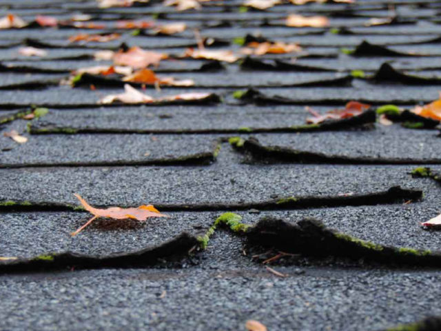Curled shingles on roof