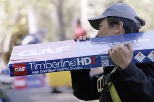 panel-timberline-2